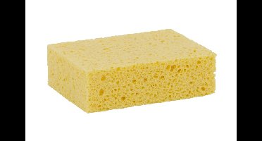 Viscose huishoudspons ca. 115x80x35 mm k