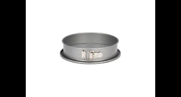 Patisse springvorm ST lekvrije bodem 24