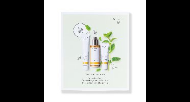 Dr. Hauschka Gezichtsverzorging Dagcrème & Olie Pakket Melissa Day Cream Set
