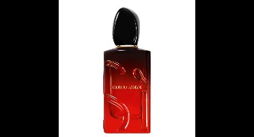 Giorgio Armani Si Passione Intense Eau de Parfum Refillable 100ml | Dames Parfum