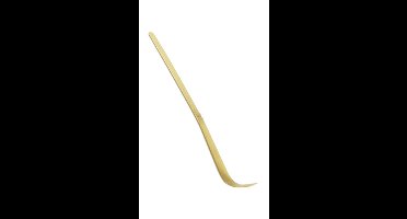 Biotona Accessoire s Bamboo Spoon 1Stuks
