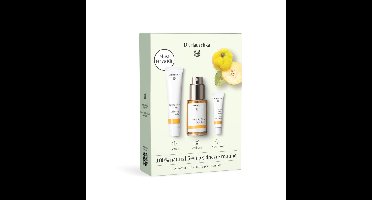 Dr. Hauschka Gezichtsverzorging Gezichtsreiniger Pakket Must Have Kit Kweepeer Set