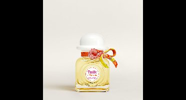 Hermès Damesgeuren Twilly d'Hermès Damesgeuren Eau Ginger Eau de Parfum 30ml