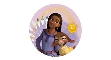 Disney Wish sierkussen 35 x 35 cm