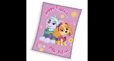 Paw Patrol Fleece plaid 130 x 170 cm Paars