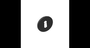 Rozet sl.gat rvs geborst. mat zwart