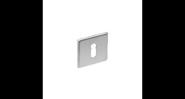 Rozet sl.gat vierkant plat rvs geborst.