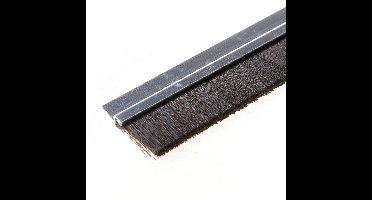 Tochtprofiel+haar 25mm h 500cm