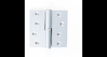 PAUM.100/100 GESL L. F1