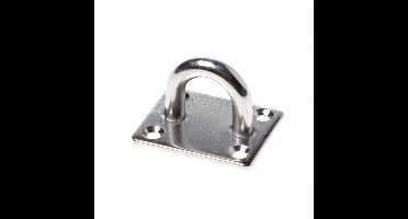 Oog op plaat rvs groot 50x40mm*