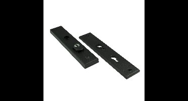 Ami vh-langschild 251/50/15 KT ZS zwart pc92 dd 63/67mm SKG3