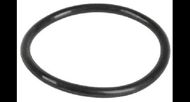 O-ring 1101220046