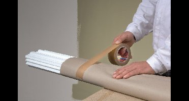 PAKTAPE PP LOW N.TRANSP. 66X50