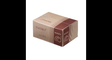 Draadnagel blank 2.7x55mm pk (1kg)