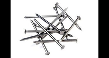 DQ stalen nagel 2.0x40mm ck (100st)