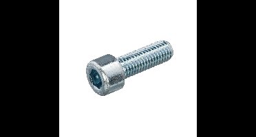 Inbusschroef 8.8 vz ck M8x25mm DIN912