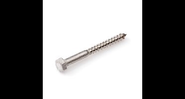 Houtdraadbout rvs A2 10x50mm DIN571