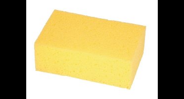 Schoonmaakspons 200x125x65mm
