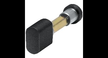 WC knop/stift zwart WC 8mm