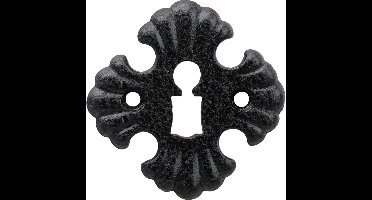 Sleutelrozet Kasteel 70mm YZ