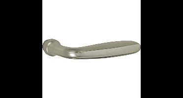 Gatdeel RS Banaan MAN