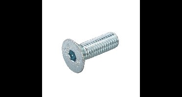 Inbusbout 8.8 vz pk M6x20mm DIN7991