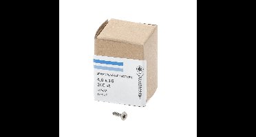 Spaanpl.schr.rvs pk tx20 4.0X16 vd