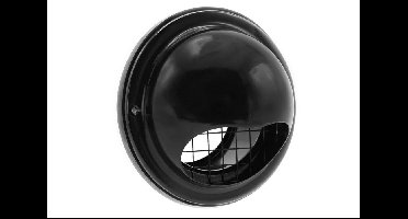 BUITENROOSTER RVS BOL 100MM