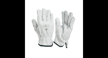 Handschoen 111519 chauffeur mt 11