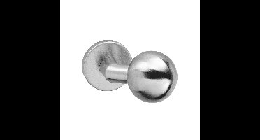 Voordeurknop rvs verkropt op rond rozet