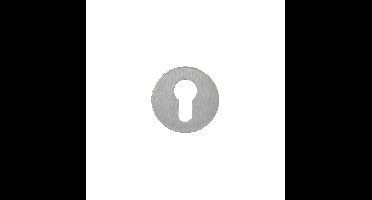 P+E Rozet profielcilindergat rond