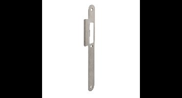 P+E Sluitplaat voor projectsloten met dagscho