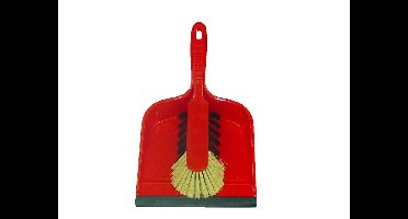 Stofblik 25x22cm met stoffer kunststof