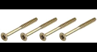 Hoppe schroeven vz 4.0x60mm dd 52-57mm (4st)