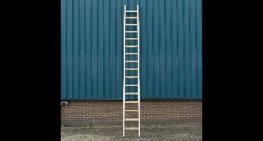 Bouwladder hout enkel 16sp 4.20m