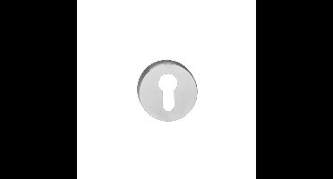 ROZET ROND 55MM MET PROFC.GAT