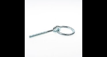 Putring met moer geg 74467