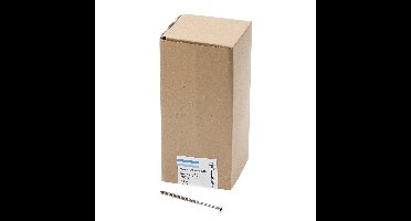 Spaanpl.schr.rvs pk tx25 5.0X90/60 dd