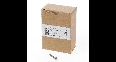 Anti-inbraakschroef rvs 4,0x30