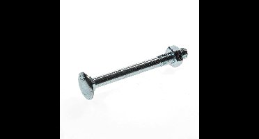 Slotbouten geg. m10x110