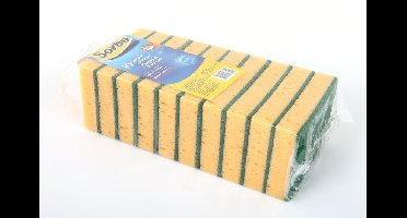 SCHUURSPONS 10ST. 19233