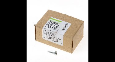 Spaanpl.schr.geg.poz.ck 4.5x20