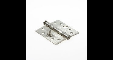 Kogelscharn.dx rvs vh89x89x3