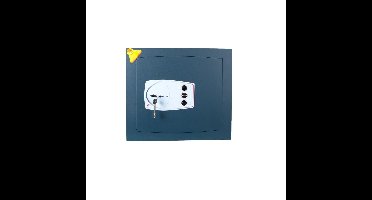 Muurkluis Technomax Gold GD/6L