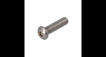 Laagbolkopschroef rvs A2 iso7380 M5x30mm