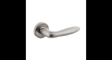 Gatdeel Jupiter op rozet met ring met veer RVS