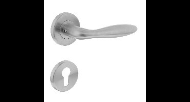 Deurkruk Jupiter op rond rozet met profielcilindergat plaatjes RVS