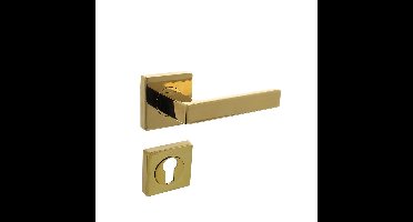 Deurkruk Hera op vierkante rozet met nokken 55x55x10mm en profielcilindergat plaatjes PVD messingkle