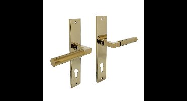 Deurkruk Baustil op schild rechthoekig 245x45mm profielcilindergat 78mm PVD messingkleur