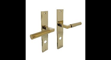 Deurkruk Baustil op schild rechthoekig 245x45mm rondcilindergat 78mm PVD messingkleur